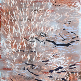 Red Star Canyon 303