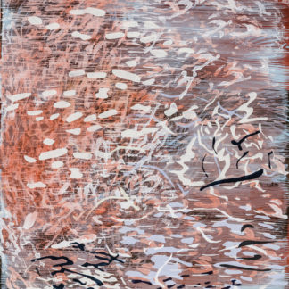 Red Star Canyon 202