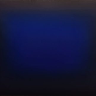 (H60) Nocturnal