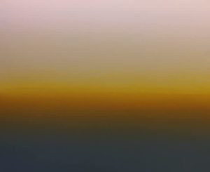 (H22) Yellow Rise