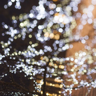 Bubble [3.11.14_7:29:41]