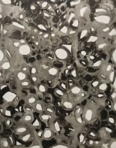 https://wpenginetest.upco.co/wp-content/uploads/2019/03/Bubble-Double-13-gouache-on-vellum-24x1922-4500-.jpeg