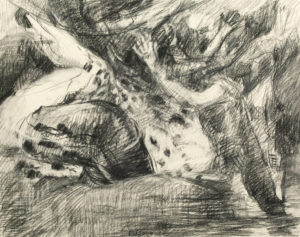 Drawing (1206)