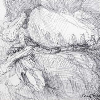 Drawing (122017)