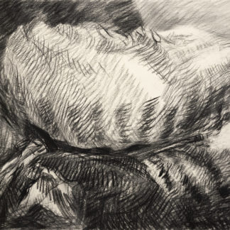 Drawing (1218)