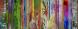 DURATION_LANGONE_01