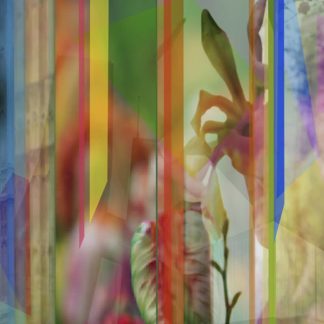 DURATION_LANGONE_01
