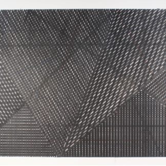 Open City, Study 2