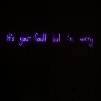 forced apology (what i say but shouldn't)