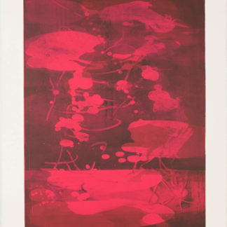 Magenta Koi III