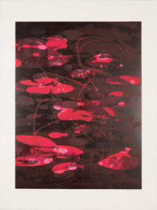 Koi Suite XII