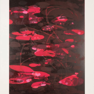 Koi Suite XII