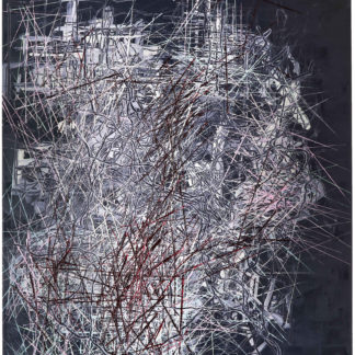 Rhizome 15