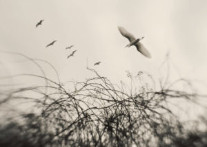 Ghosts of Your Love