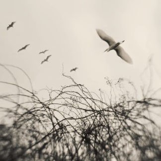 Ghosts of Your Love