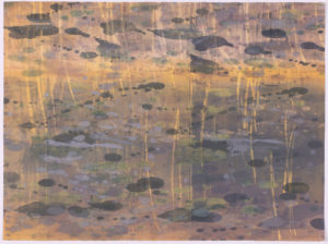 Tidal Pool XIV