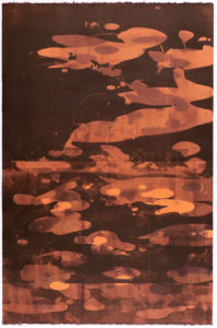 Tea Koi II