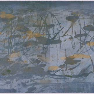 Silver Marsh VI