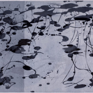 Lilypond Series I