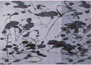 Lilypond Series II