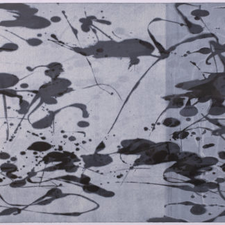 Lilypond Series II