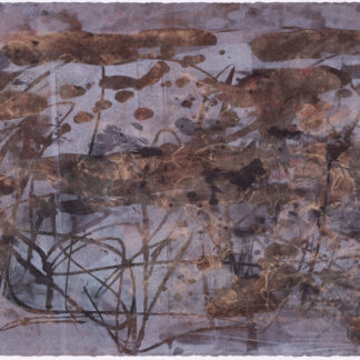 Copper Swamp III