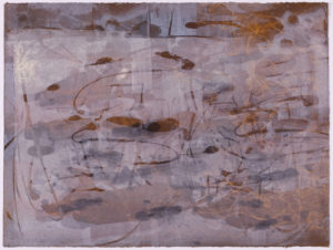 Copper Swamp I