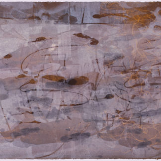 Copper Swamp I