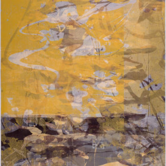 November Pond