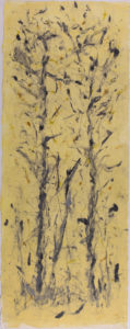 Hamadryad Series: Grey II