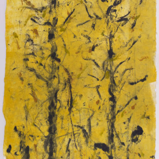 Hamadryad Series: Gold