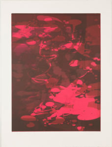 Magenta Koi IV