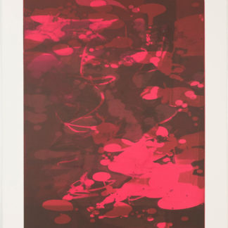 Magenta Koi IV