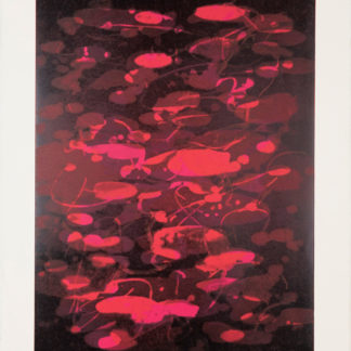 Koi Suite IX