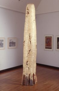 Cypress