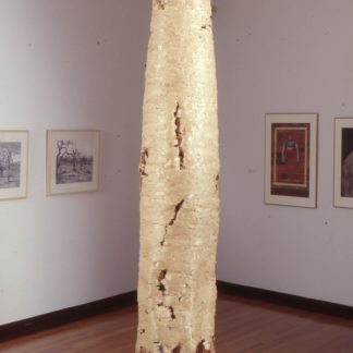 Cypress