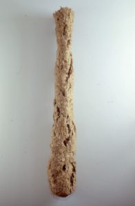 Nest