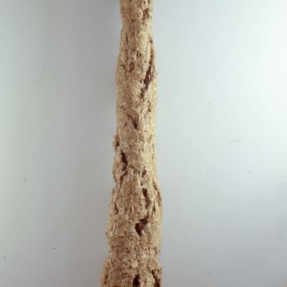 Nest