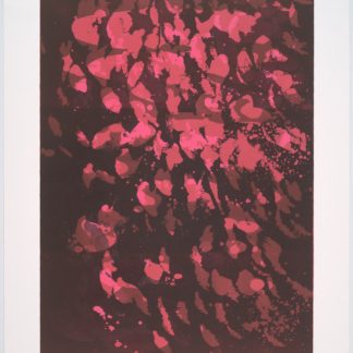 Moonlight Series I