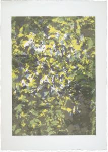 Sunlight Series VI
