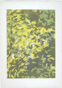 Sunlight Series X