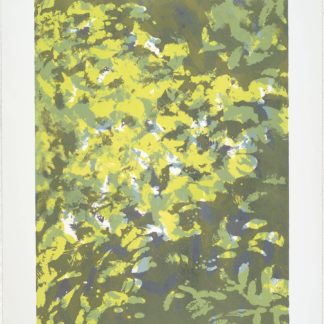 Sunlight Series X