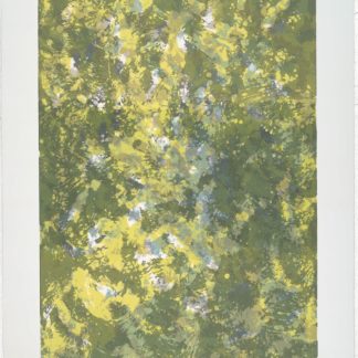 Sunlight Series VII