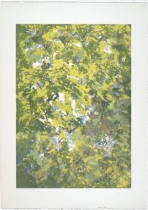 Sunlight Series VIII