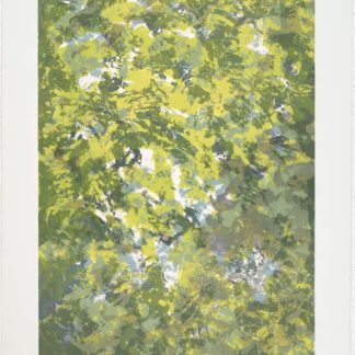 Sunlight Series VIII
