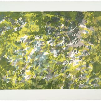 Sunlight Series V