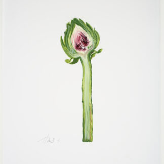 Heather Sandifer, "Long-Stemmed Artichoke, Cat. 131," mixed media on vellum paper