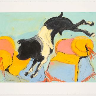 Skippy Over Acrobat Sofas