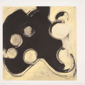 Optical Series: Phoropter