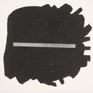 Black Drawings Series: Sallet